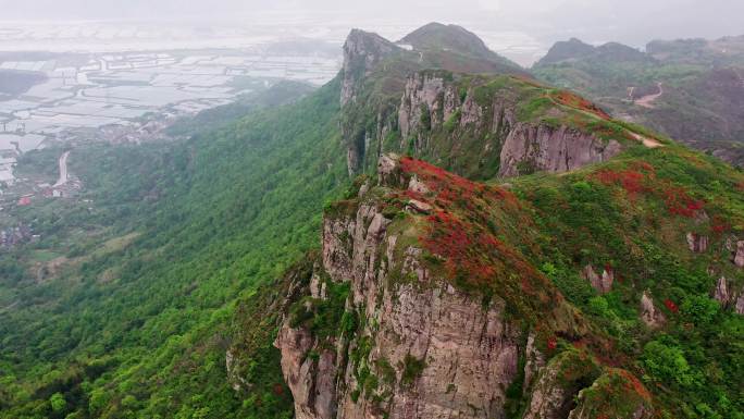 浙江温岭上保山，杜鹃花盛开，悬崖上的风光