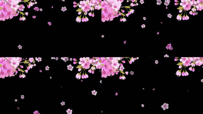 花朵花枝粉色随风飘落透明前景
