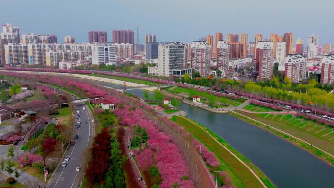 西平县小洪河