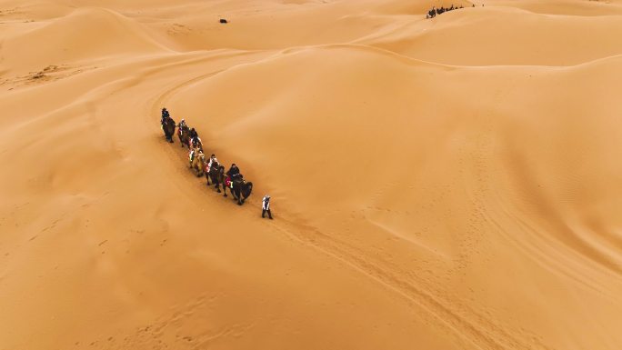 航拍壮观的 沙漠骆驼队伍