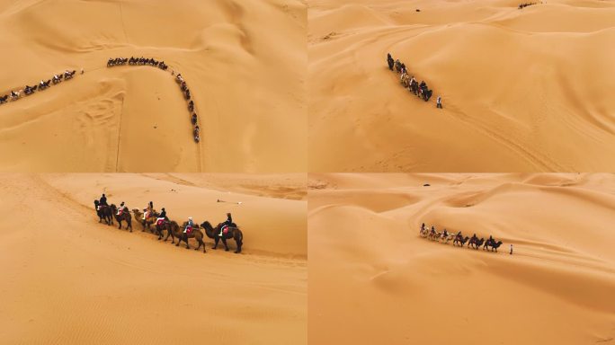 航拍壮观的 沙漠骆驼队伍