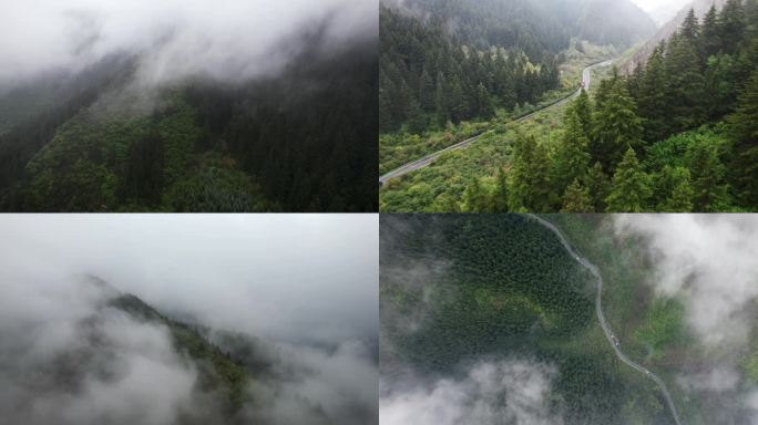 4K自然流水风景树木山水自然山川