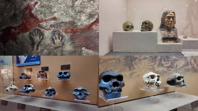 原始人类 壁画 头盖骨
