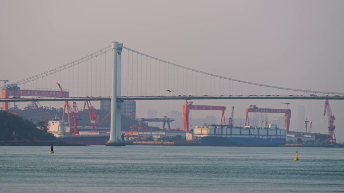 傍晚海沧大桥下的货轮码头轮船码头4K