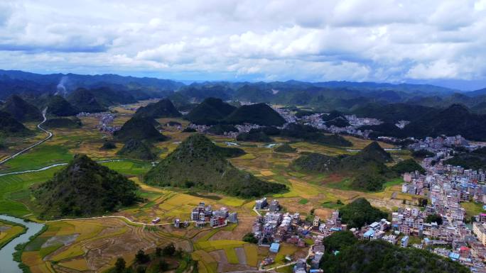 金黄的水稻、山水美景、丰收的稻田航拍