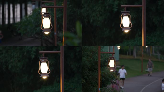 傍晚，公园里的路灯，灯光