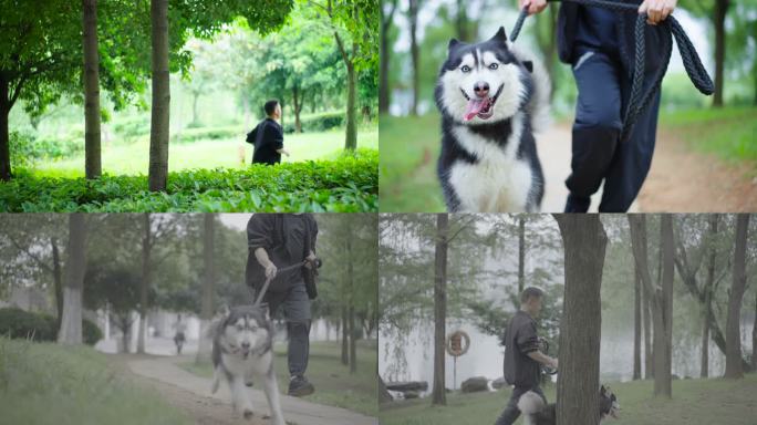 狗狗奔跑公园遛狗