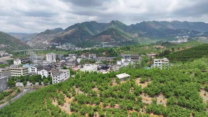 陶营村航拍 贵州纳雍总溪河陶营村樱桃