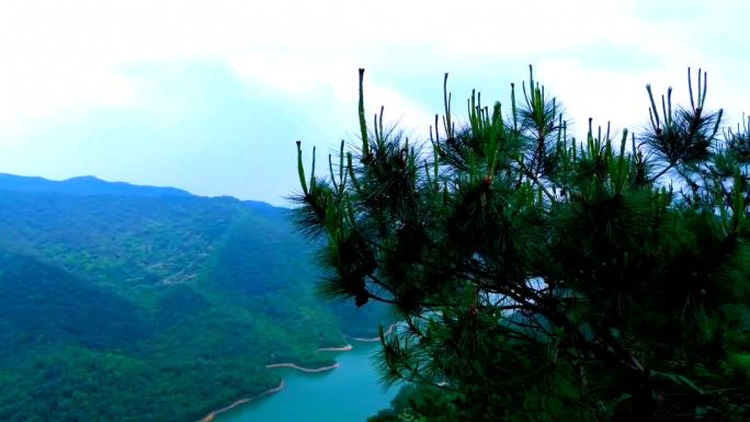 航拍肇庆九龙湖风景