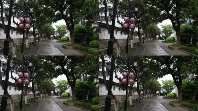 清晨春雨谷雨江南水乡古街 苏州平江路