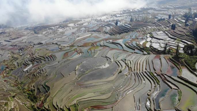 元阳梯田灌水期