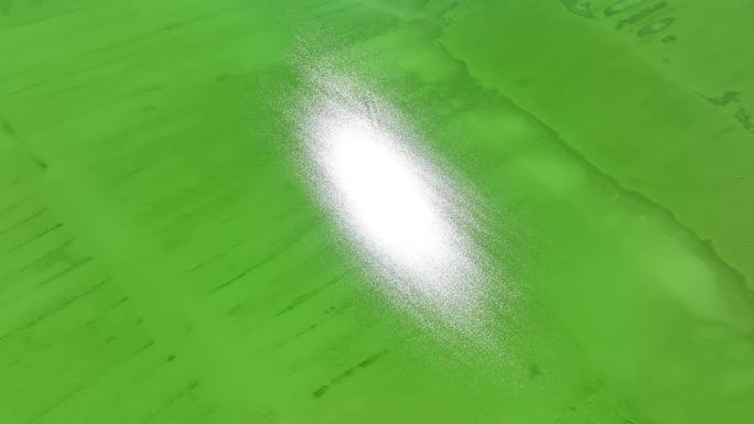阳光洒在绿色的察尔汗盐湖上