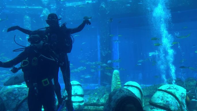 亚特兰蒂斯水族馆潜水