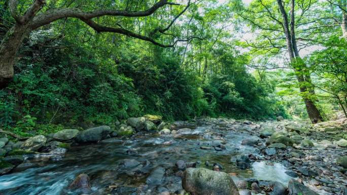 山涧溪流 小溪流延时