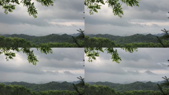 大自然雨天风景原声素材2