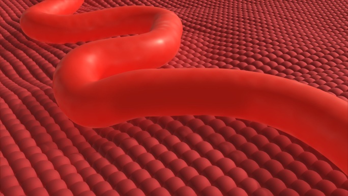 血流动画三维动画视频素材
