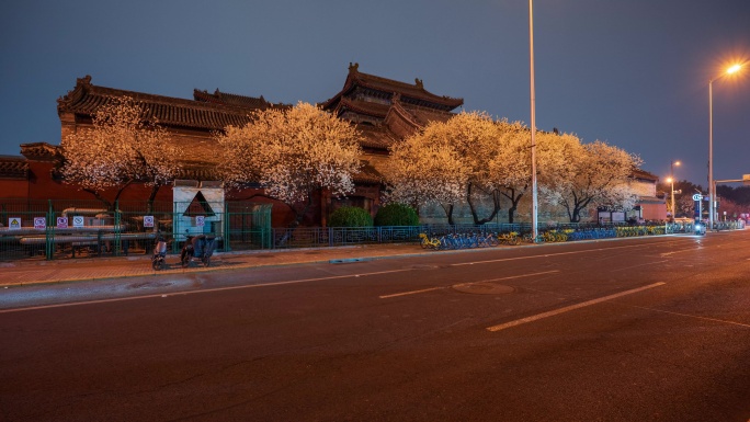 雍和宫桃花