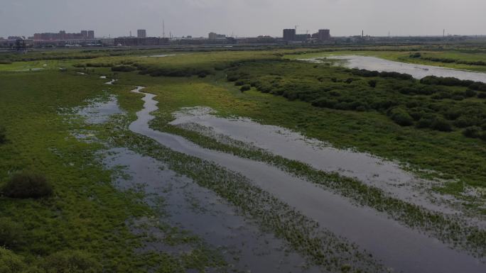 三江口湿地公园航拍