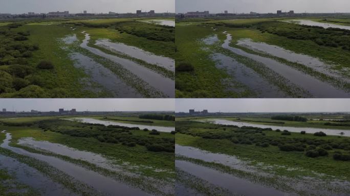 三江口湿地公园航拍
