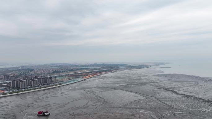 海边沙滩上的白鹭觅食4K