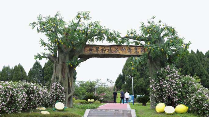 资阳安岳世界柠檬品种博览园
