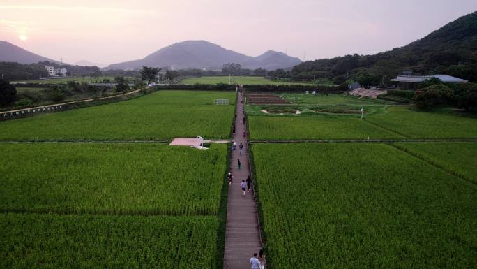 广州市从化风云岭森林公园艾米稻香小镇航拍