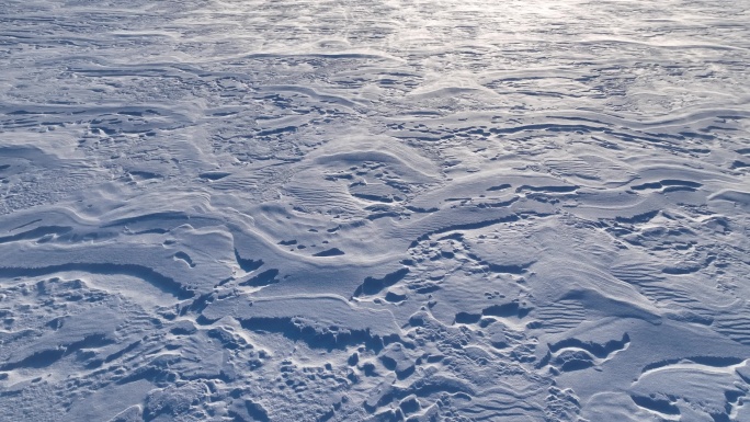 呼伦贝尔草原冬季风吹雪