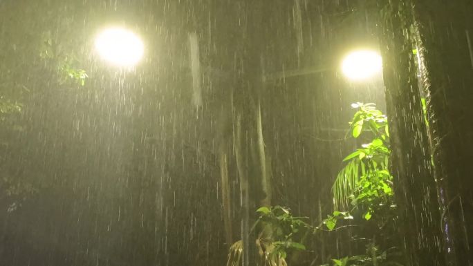 夜雨夏天夜春雨暴雨大雨滴树叶雨滴黑夜意境