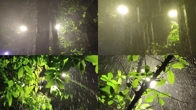 夜雨夏天夜春雨暴雨大雨滴树叶雨滴黑夜意境