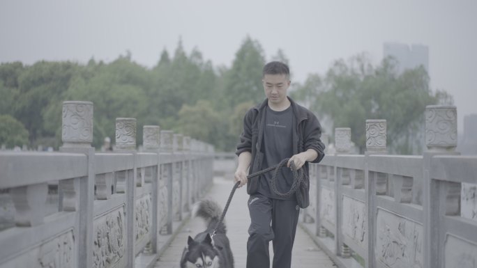 湖中步道遛狗
