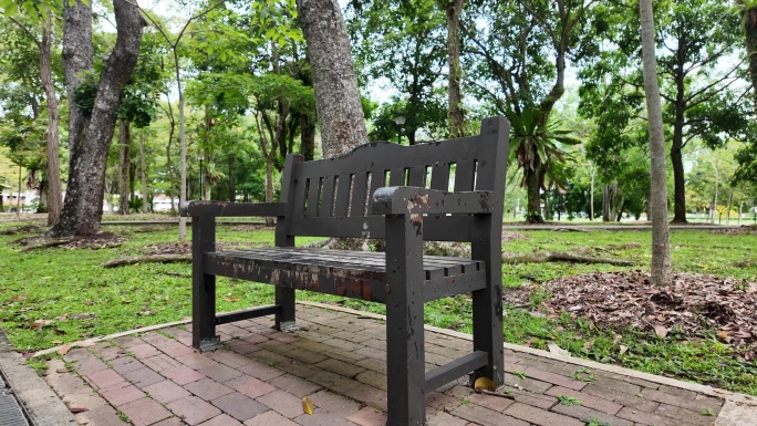 自然之美：公园里的木头长椅