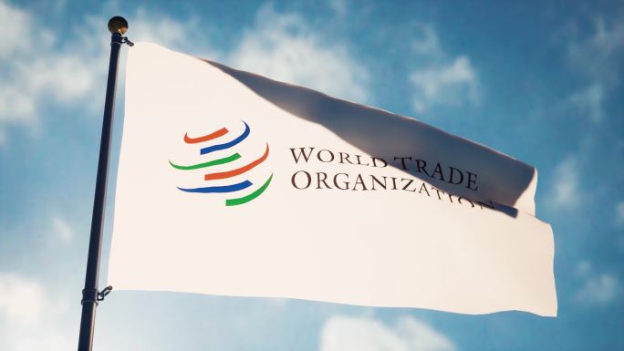 世贸组织旗帜飘扬世贸组织旗子世界贸易组织
