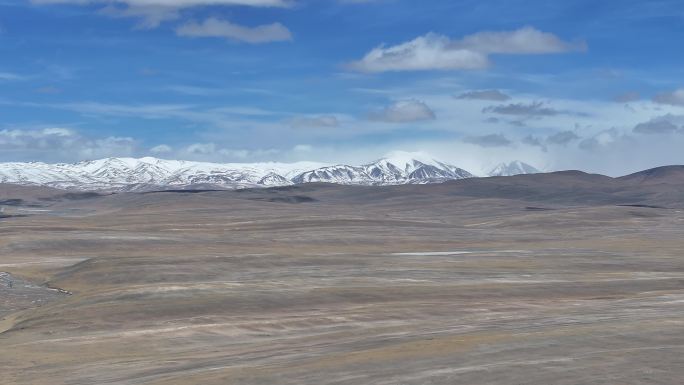 可可西里区域内的雪山和草原