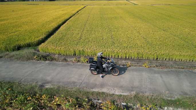 稻田 收割 秋收 摩托车