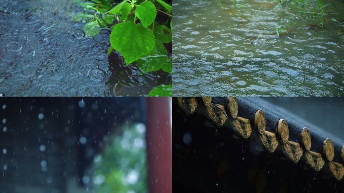 谷雨清明的雨滴