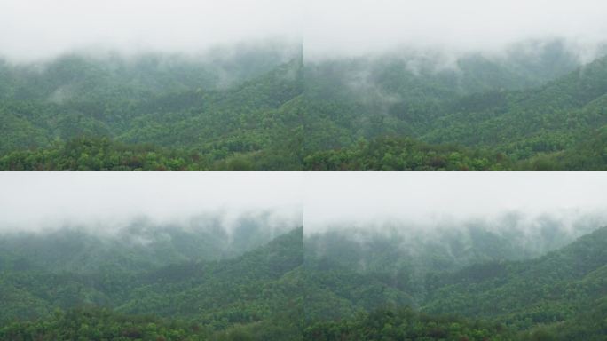 雨后云雾