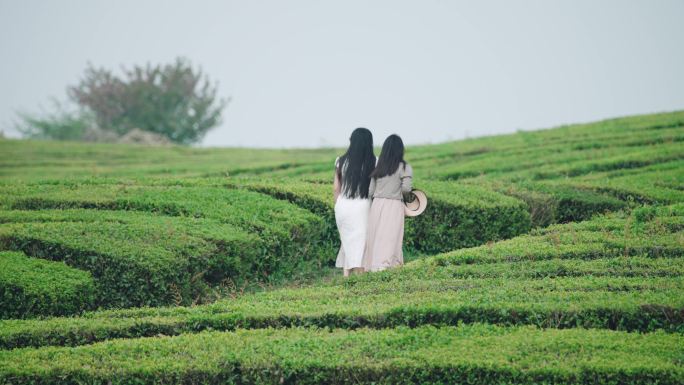 茶山游玩拍照