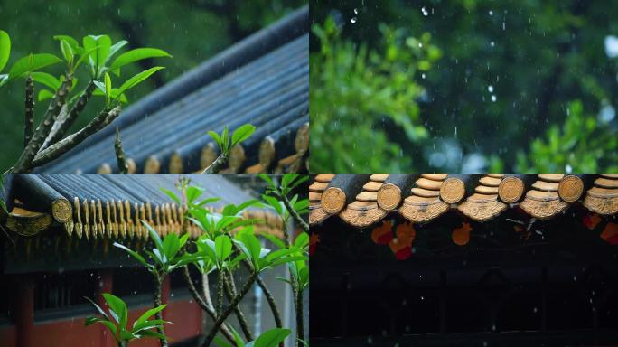 谷雨清明的雨滴