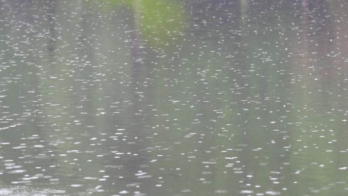 下雨时滴水湖面空镜头