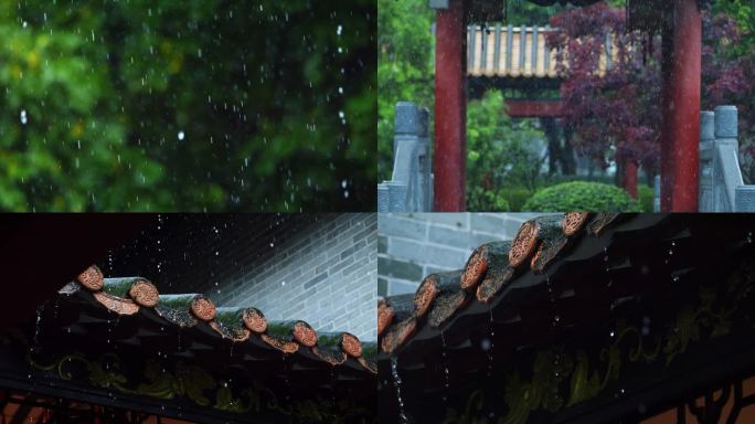 谷雨清明的雨滴