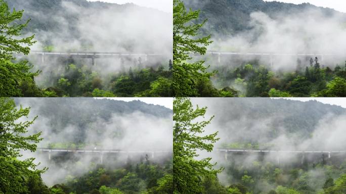 延时摄影生态高速交通运输唯美雾景