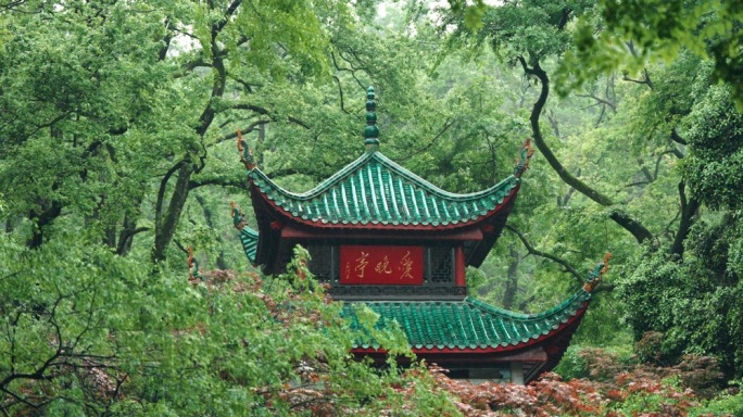 爱晚亭下雨空镜头 长沙地标建筑