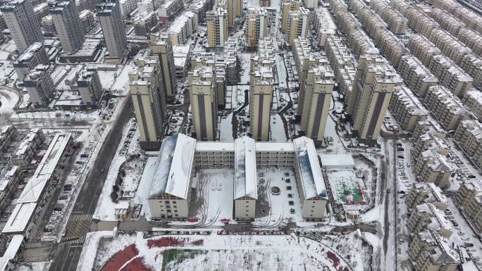 雪后的菏泽市成武县风景