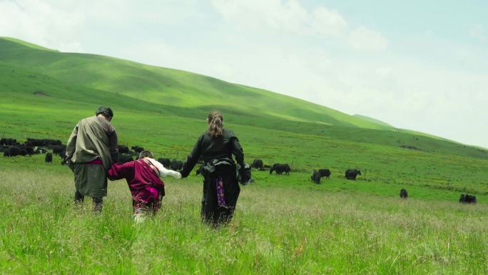 4K草原放牧牦牛藏族幸福一家藏族孩子