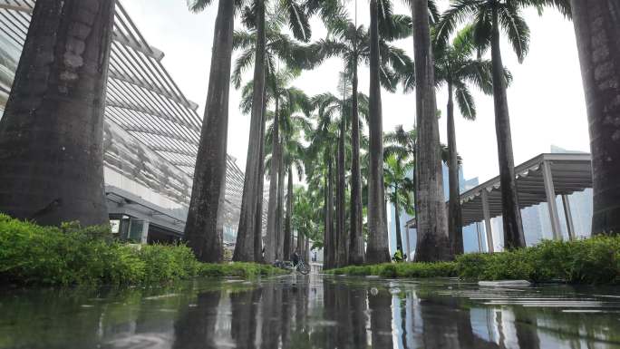 雨中魅影：棕榈树下的自行车行人景观