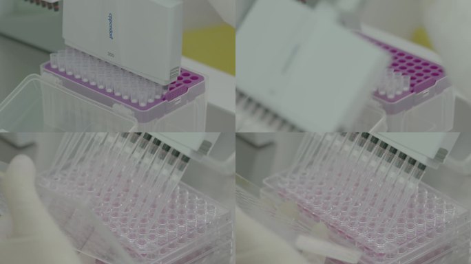 医学医疗实验检测化验09