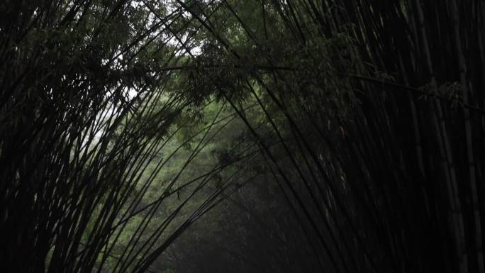 暴雨的户外雨水惊蛰谷雨立春屋檐滴水