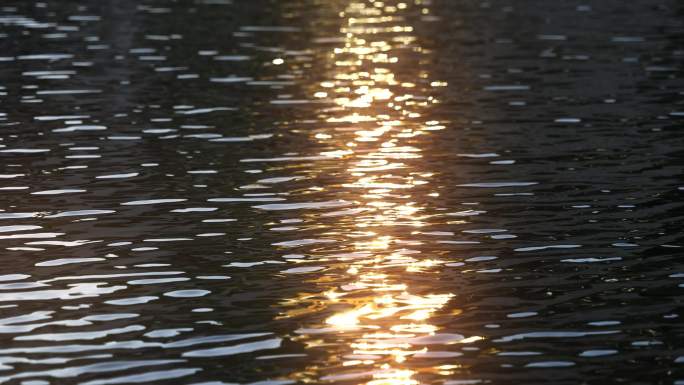 水面反射阳光泛起金光