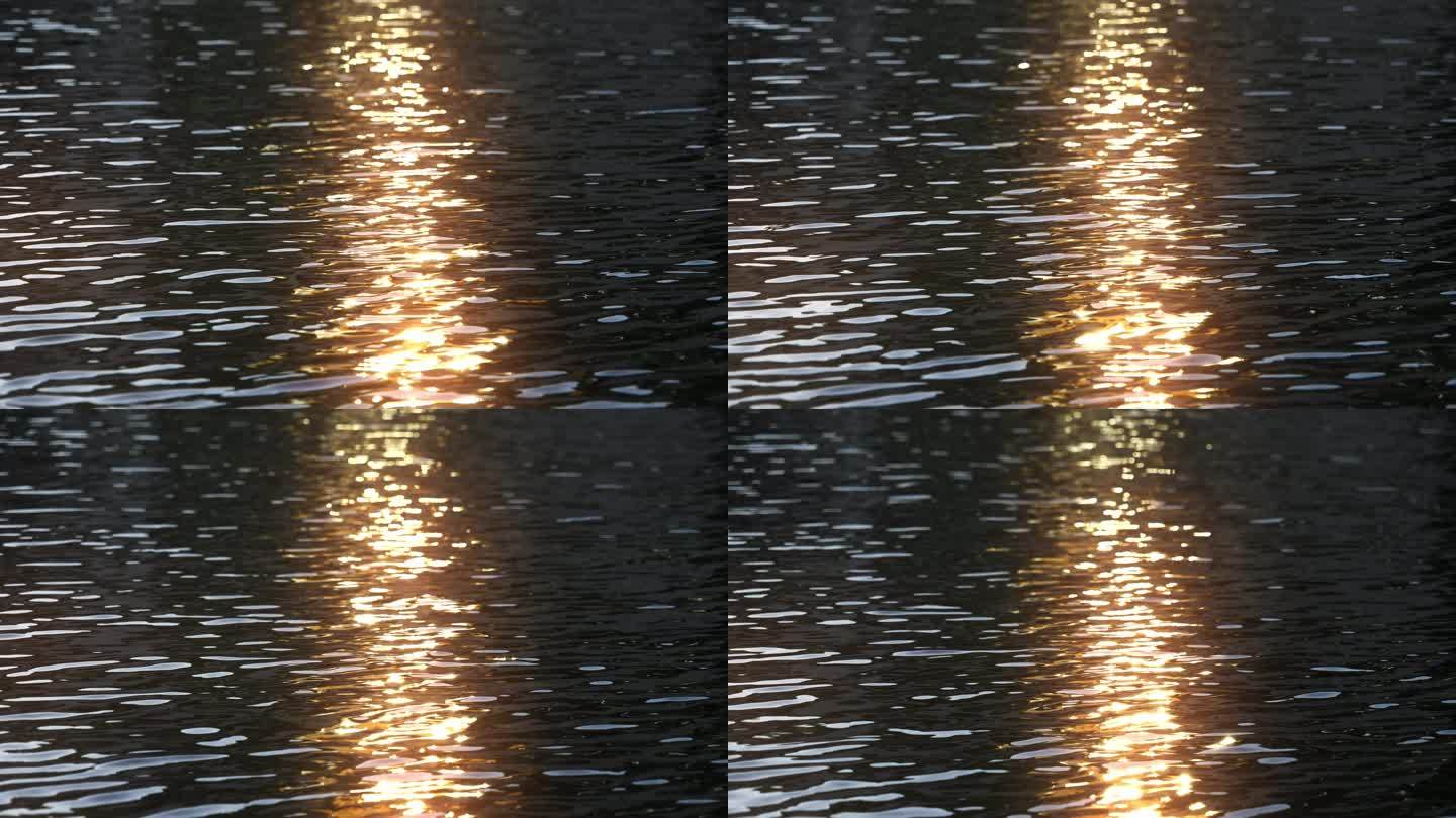 水面反射阳光泛起金光