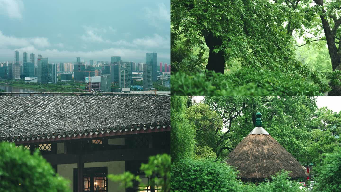 春雨绵绵诗意下雨屋檐瓦片雨水滴落枫树叶子